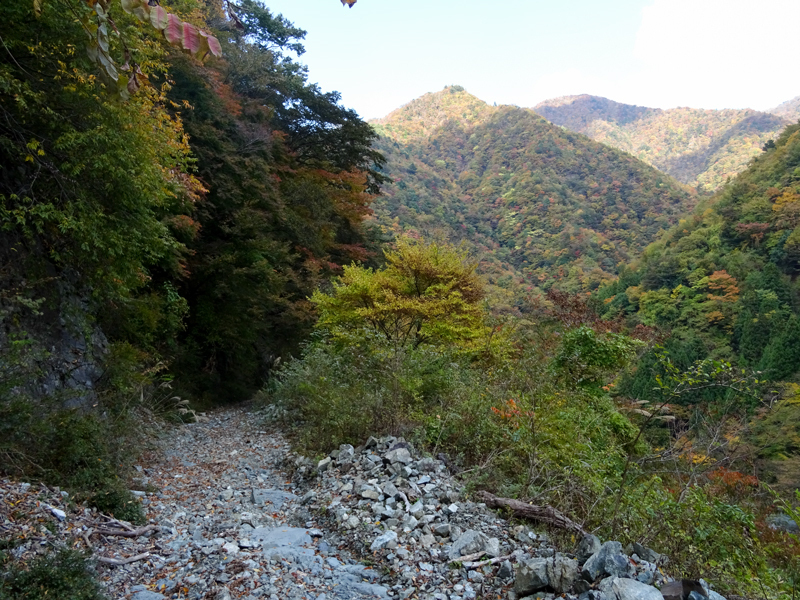 171104 犬越路039.jpg