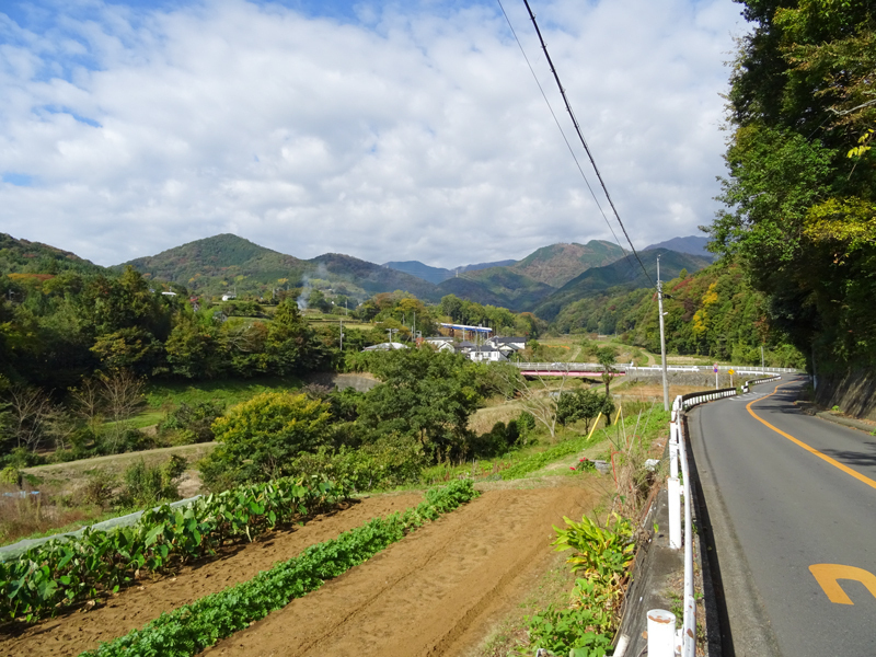 171112 三廻部～秦野峠009.jpg