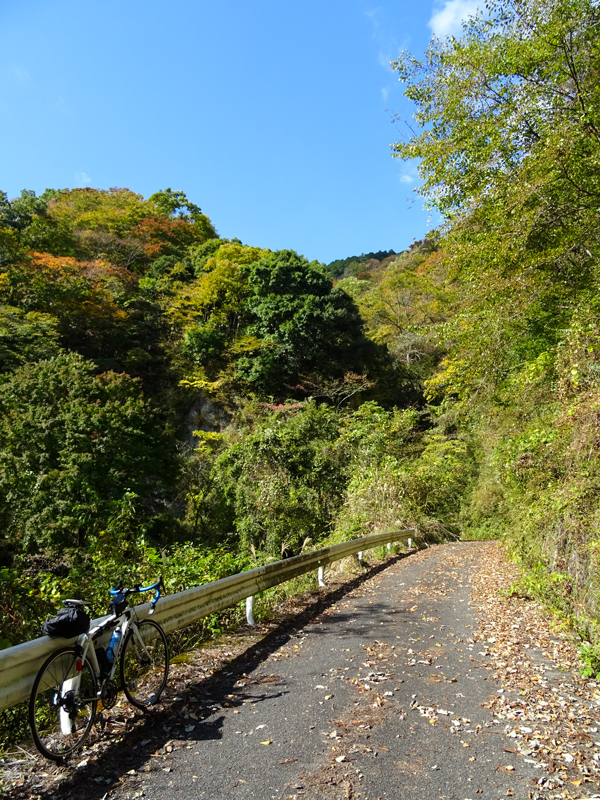 171112 三廻部～秦野峠016.jpg