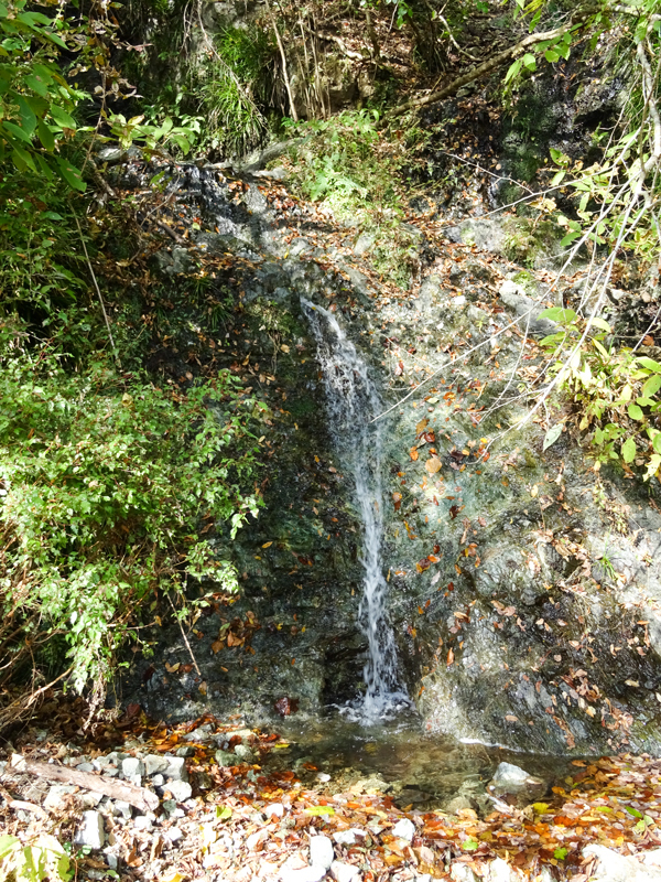 171112 三廻部～秦野峠017.jpg