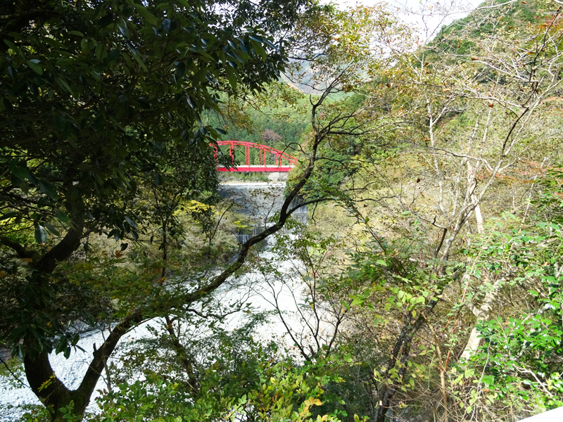 171112 三廻部～秦野峠022.jpg