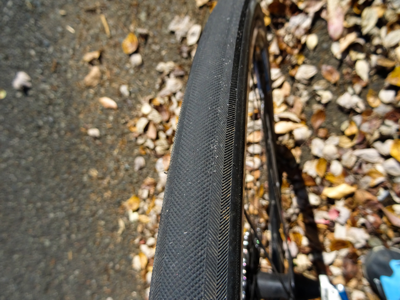 171112 三廻部～秦野峠024.jpg