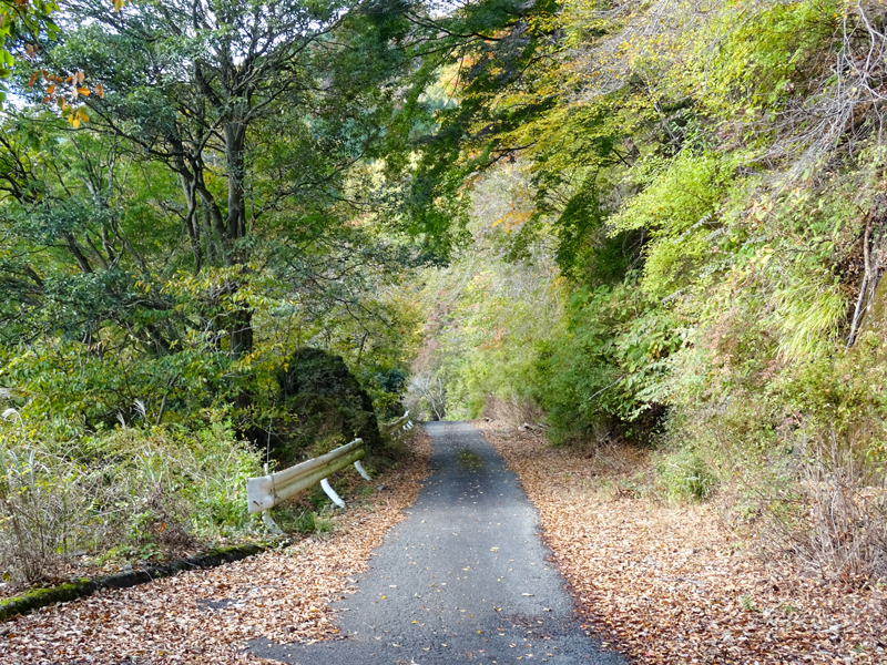 171112 三廻部～秦野峠025.jpg