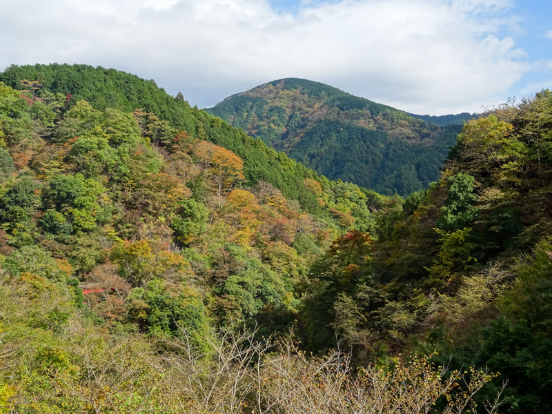 171112 三廻部～秦野峠026.jpg