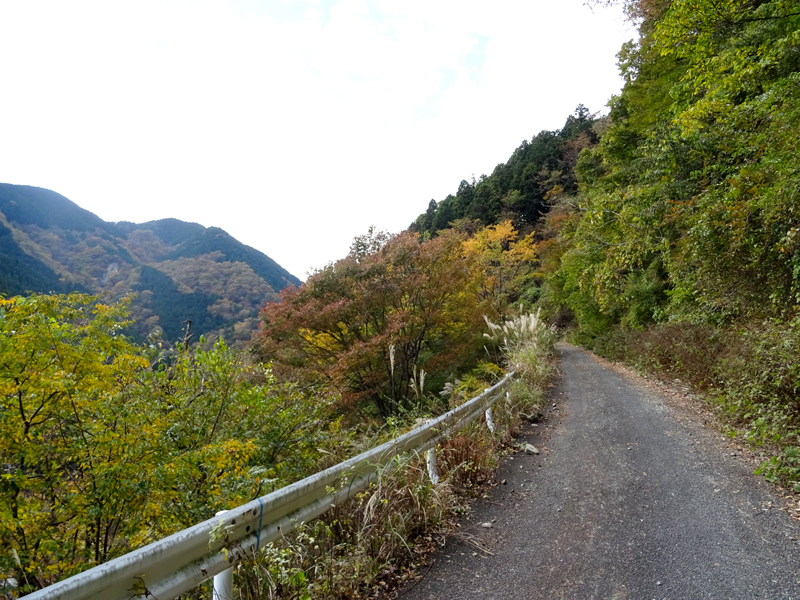 171112 三廻部～秦野峠028.jpg