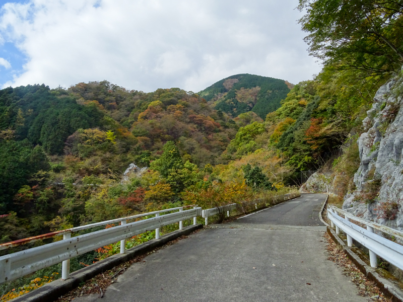 171112 三廻部～秦野峠029.jpg