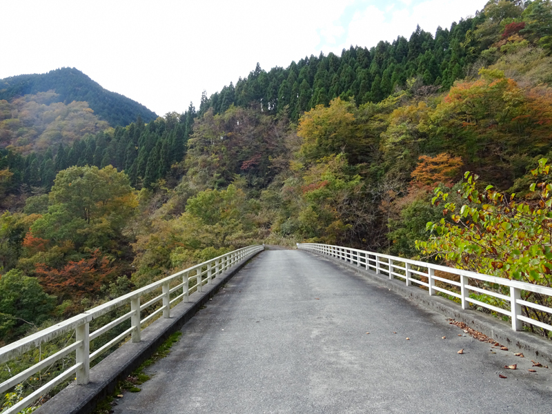 171112 三廻部～秦野峠030.jpg