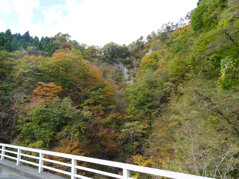 171112 三廻部～秦野峠031.jpg