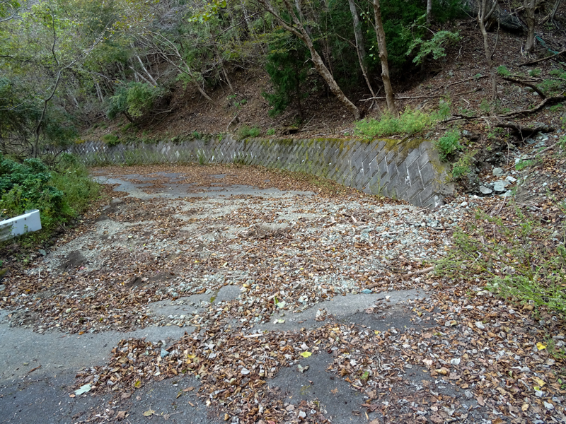 171112 三廻部～秦野峠036.jpg
