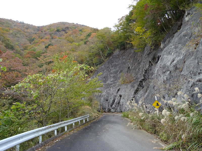 171112 三廻部～秦野峠037.jpg