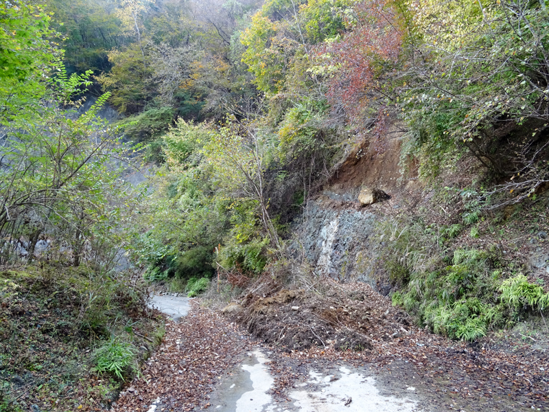 171112 三廻部～秦野峠038.jpg