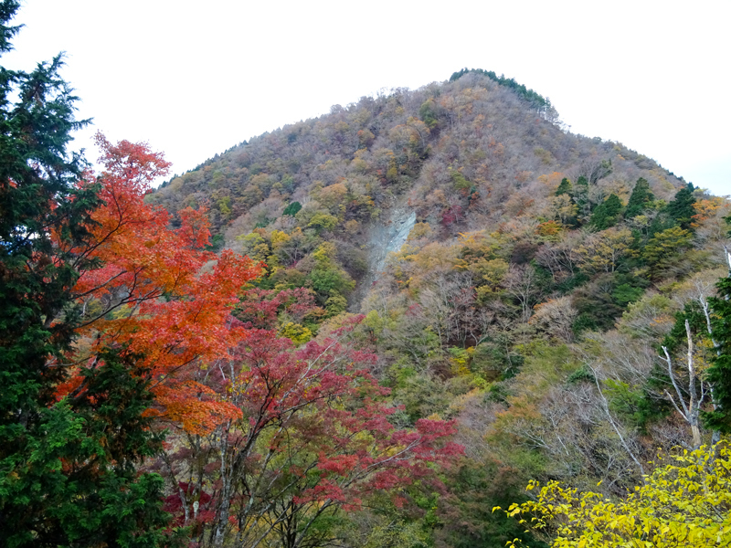 171112 三廻部～秦野峠040.jpg