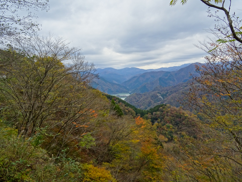 171112 三廻部～秦野峠043.jpg