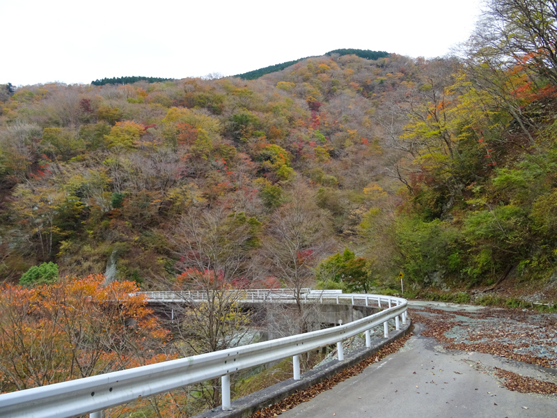 171112 三廻部～秦野峠044.jpg