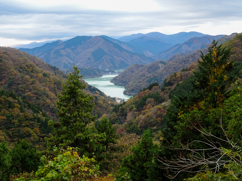 171112 三廻部～秦野峠046.jpg