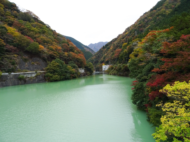 171112 三廻部～秦野峠050.jpg