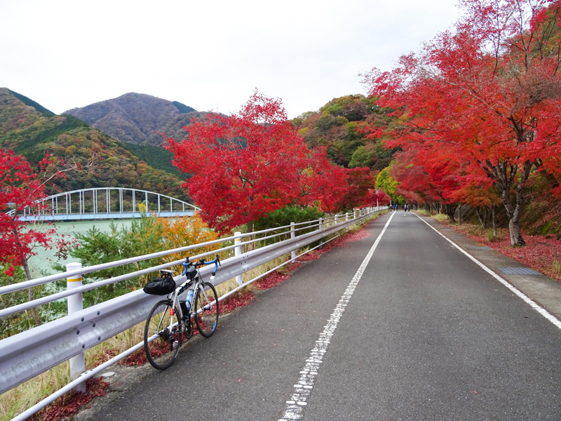 171112 三廻部～秦野峠052.jpg