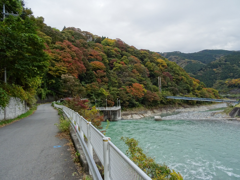 171112 三廻部～秦野峠055.jpg