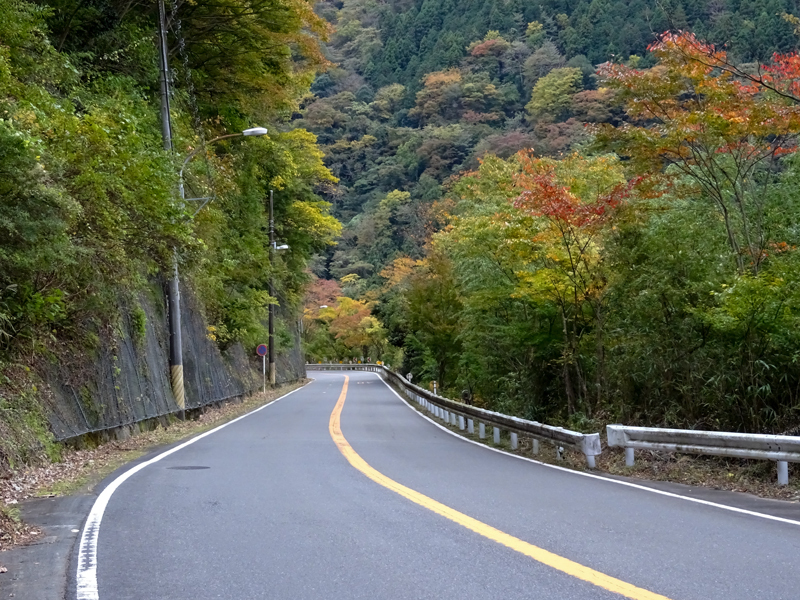 171112 三廻部～秦野峠056.jpg