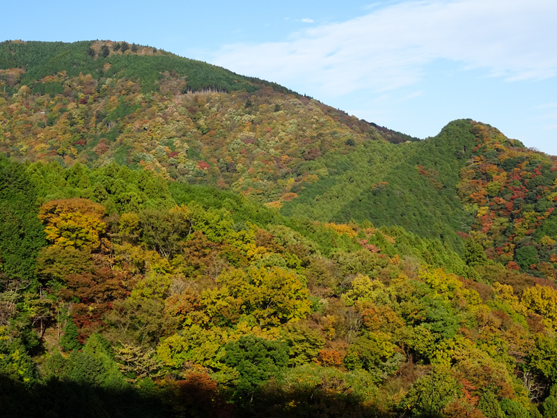 171126-大山寺017-1.jpg