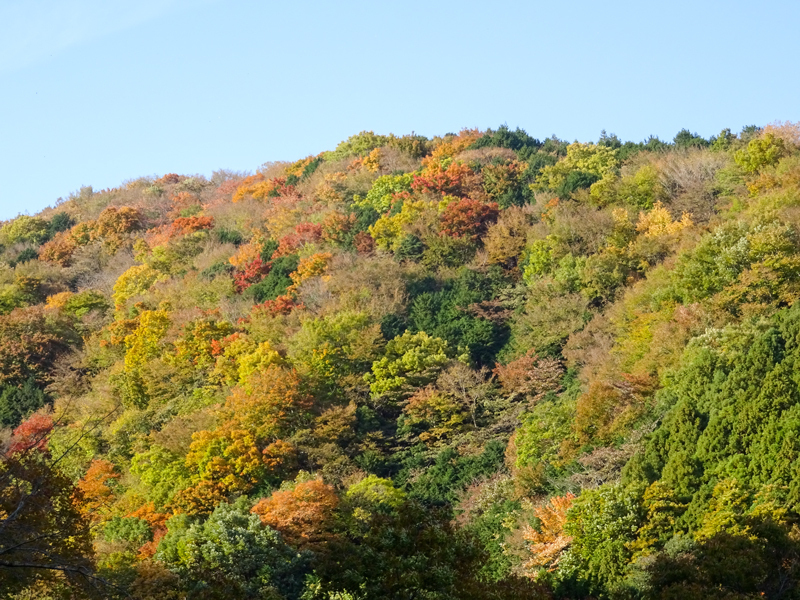 171126 大山寺016.jpg