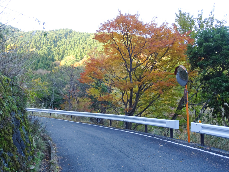 171126 大山寺018.jpg