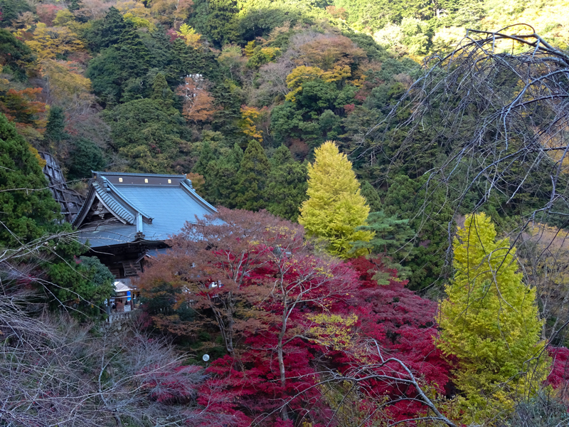 171126 大山寺020.jpg