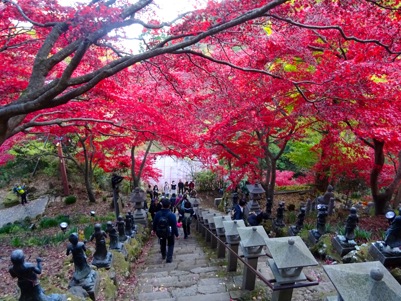 171126 大山寺023.jpg