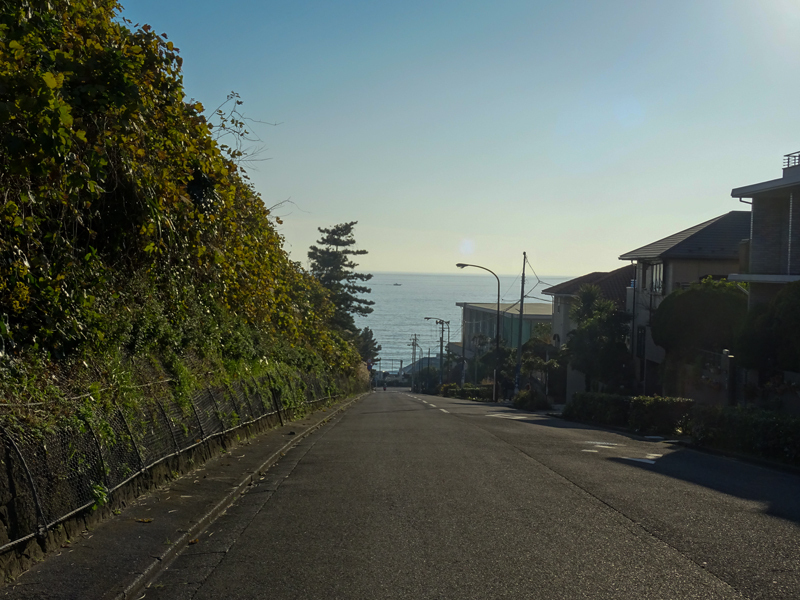 171203 ポタ003.jpg
