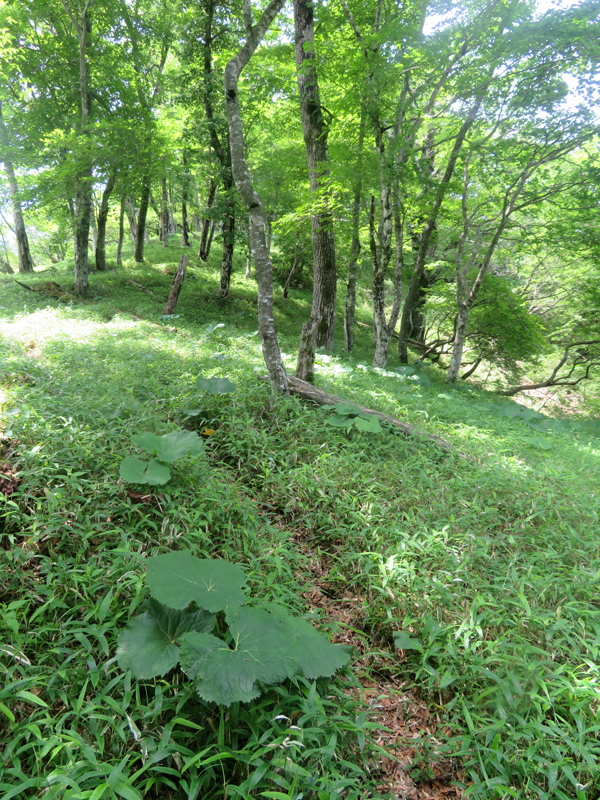 17hayato y2002.jpg