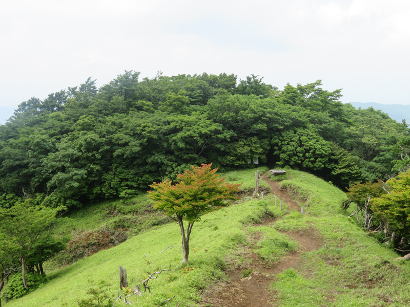17hayato y2006.jpg