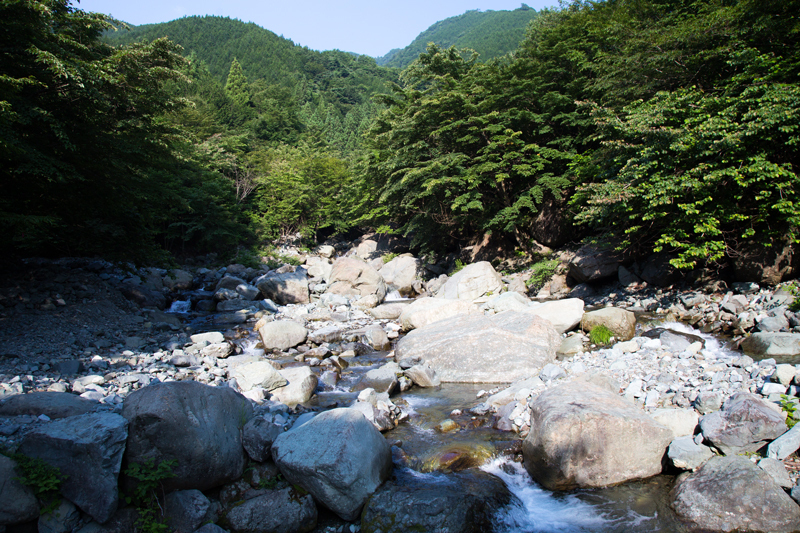 17hayato y2012.jpg