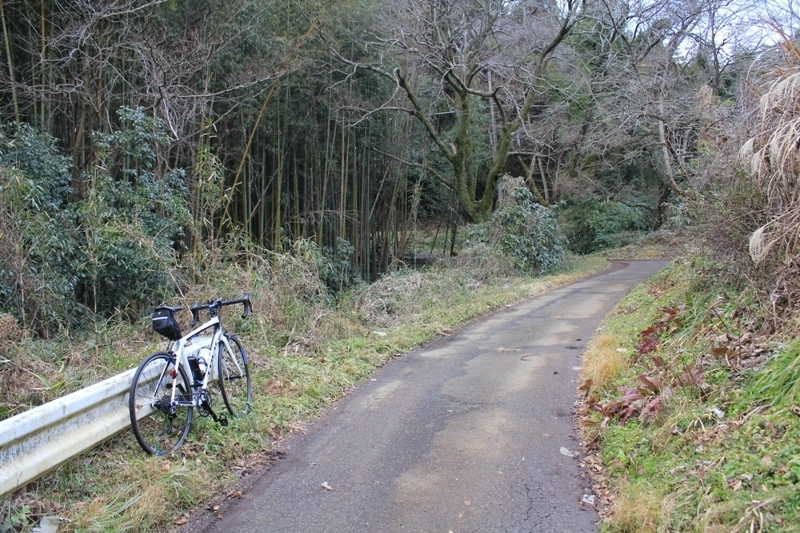 2.谷戸川沿い.JPG