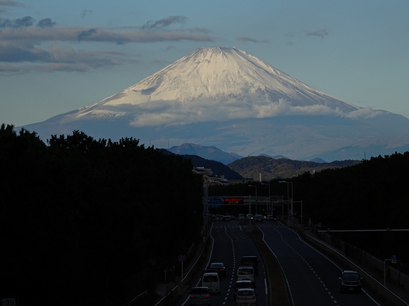 2017-11-19 izu002.jpg