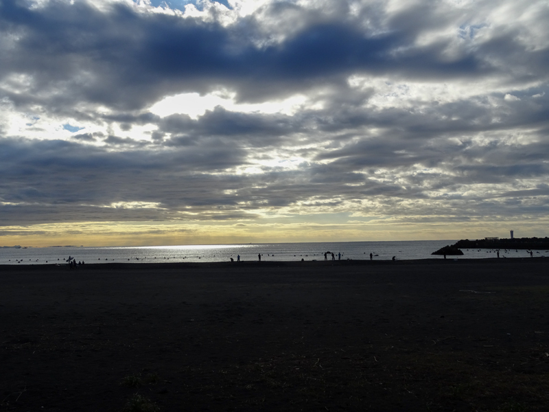 2017-11-19 izu004.jpg