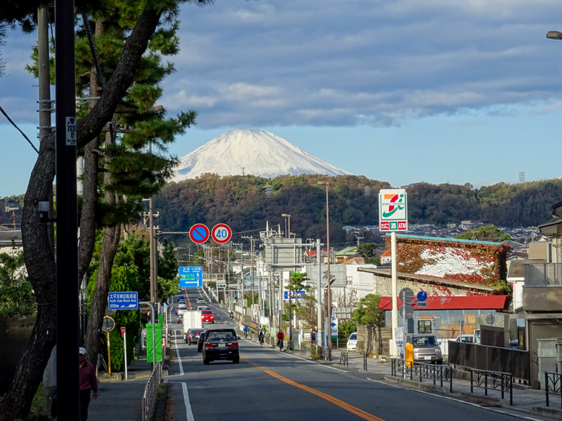2017-11-19 izu005.jpg