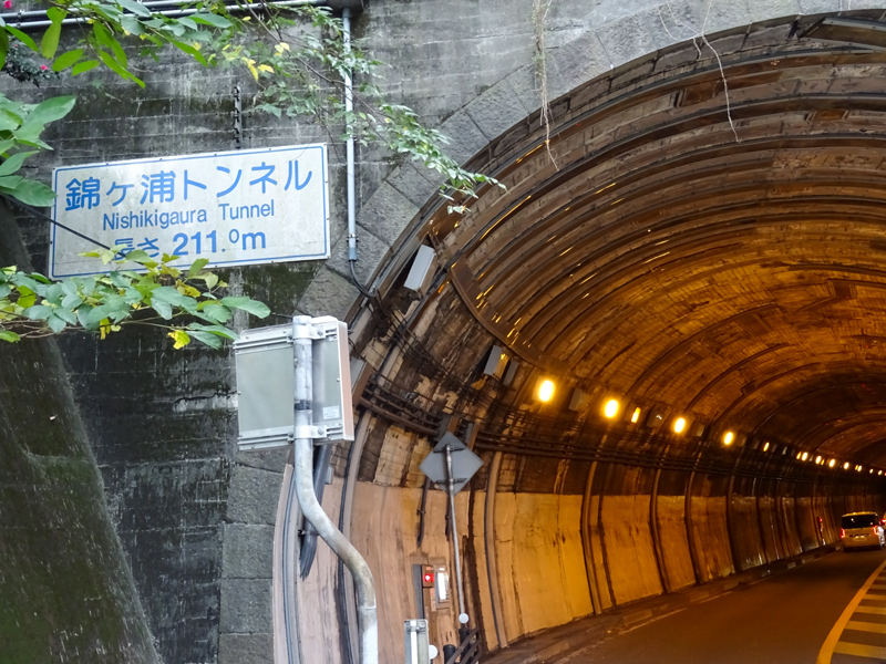 2017-11-19 izu016.jpg