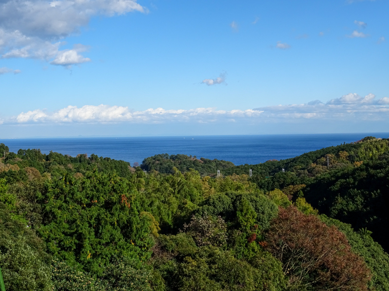 2017-11-19 izu020.jpg