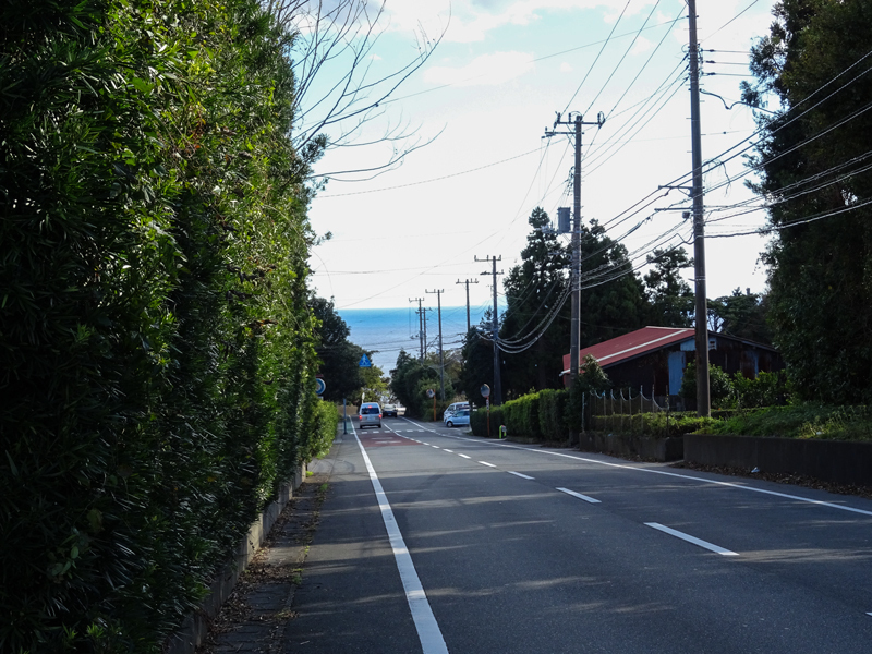 2017-11-19 izu021.jpg