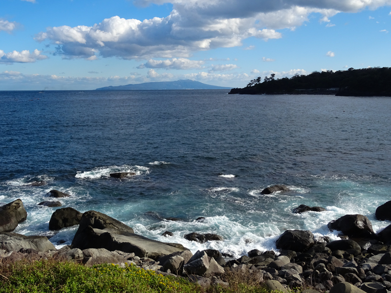 2017-11-19 izu022.jpg