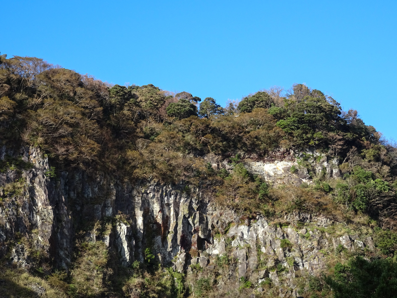 2017-11-19 izu023.jpg