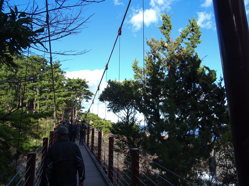 2017-11-19 izu026.jpg