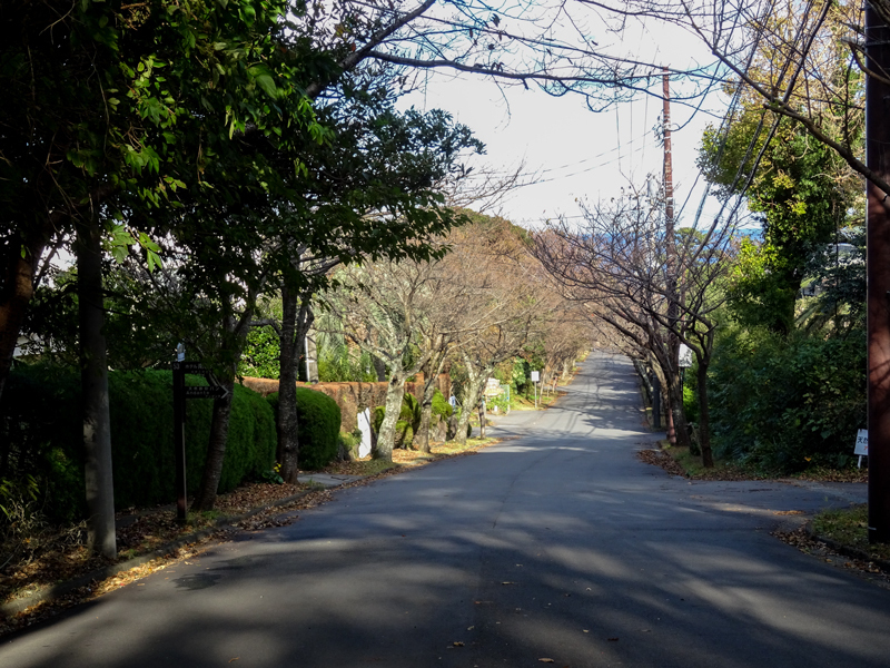 2017-11-19 izu033.jpg