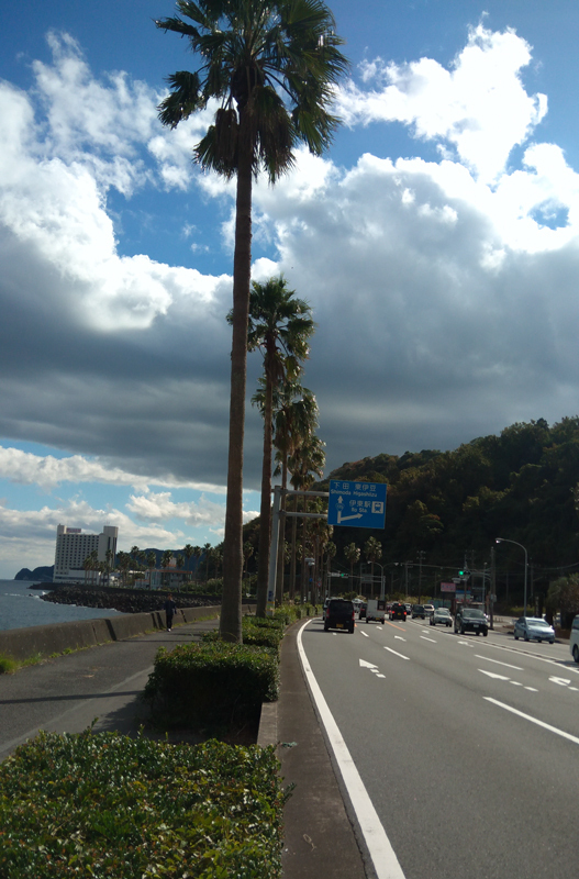 2017-11-19 izu038.jpg