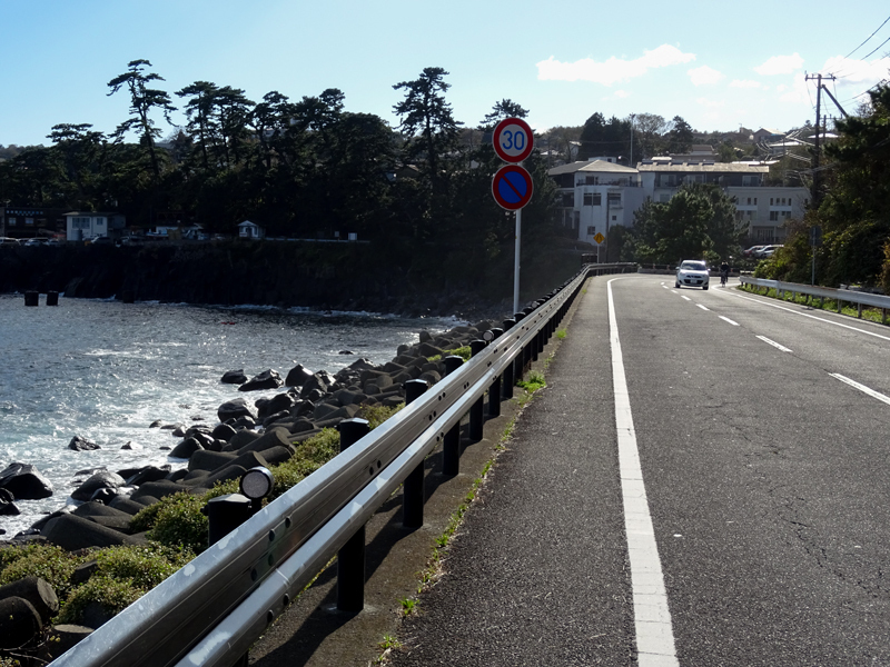 2017-11-19 izu049.jpg