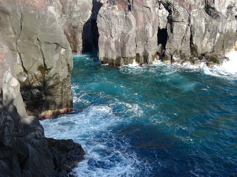 2017-11-19 izu050.jpg