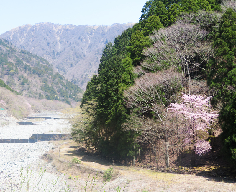 2017GW用005.jpg