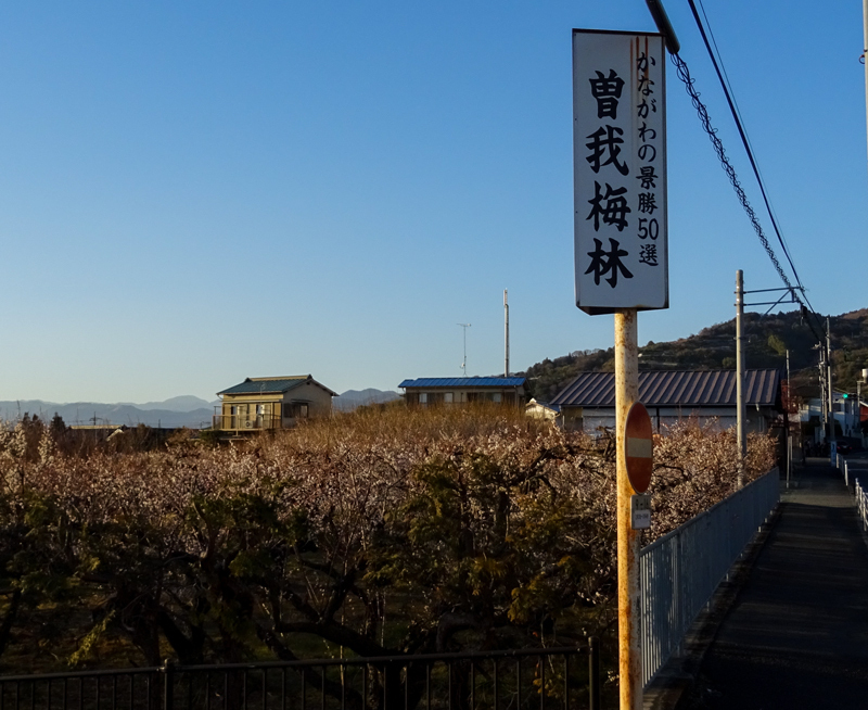 2018-02-11ライド020.jpg