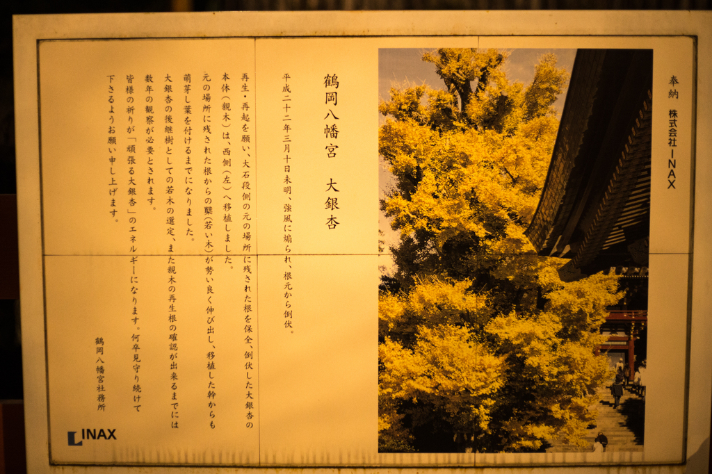 2018-02　Kamakurayoru007-2.jpg