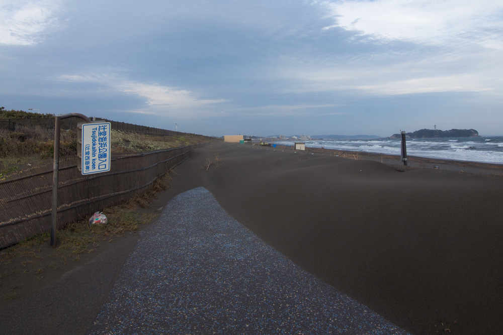 2018-04-07ポタ014.jpg